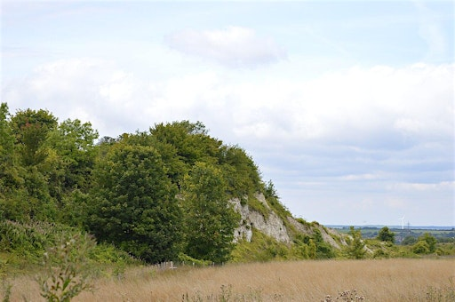 Walk and Talk for MENtal Health - Totternhoe Knolls | Totternhoe Knolls Car Park
