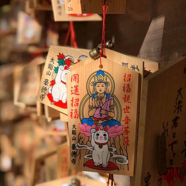 滿滿招財貓🐱日本必去豪徳寺