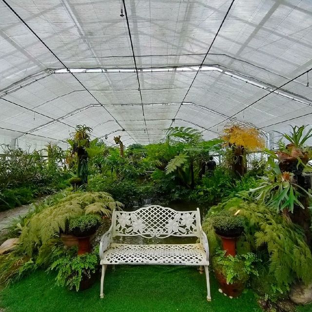 สวนพฤกษศาสตร์สิริกิติ์ แม่ริม เชียงใหม่