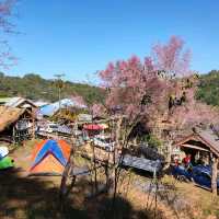 บ้านร่องกล้า