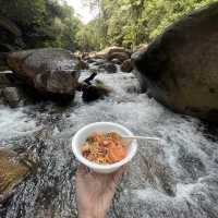 BLENDING WITH THE NATURE