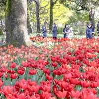 春の横浜公園の散策