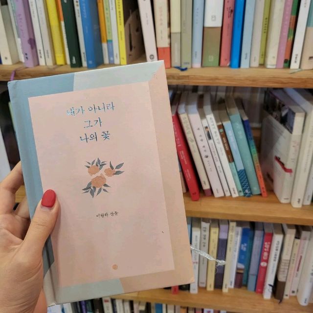 비오는날 제주☔️ 유람위드북스 카페