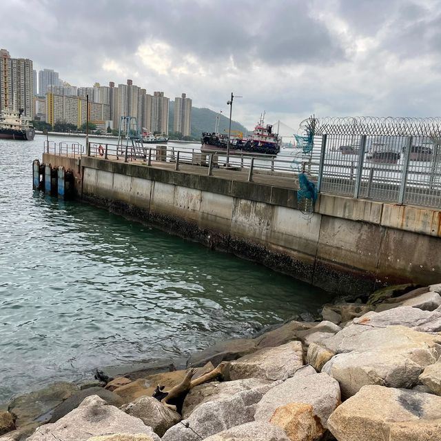 欣賞無敵海景-荃灣渡輪碼頭