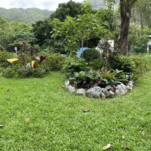賞花好地方「蝴蝶灣公園」