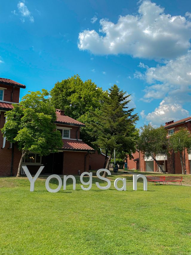 미국 갬성 뿜뿜한 서울 핫플🫶🏻