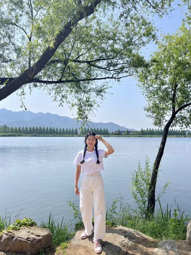 [과천] 과천에 꽁꽁 숨겨둔 아름다운 피크닉 존/풍성한 장미 꽃동산🌹