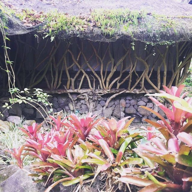Feel the warm welcome of Banahaw Villa🏞️