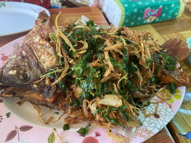 แก่งกื้ด ล่องแพ แม่แตงเชียงใหม่