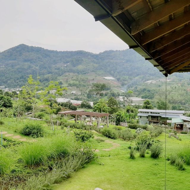 Mori Natural Farm