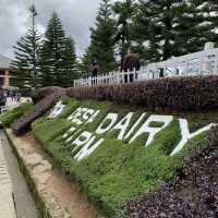 Little New Zealand in Sabah