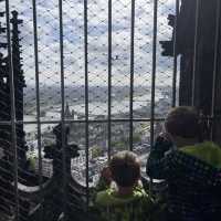 Amazing Cologne Cathedral 