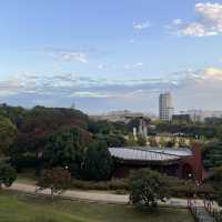 韓国/ソウル【オリンピック公園】韓国の秋🧡オレンジのコスモス畑