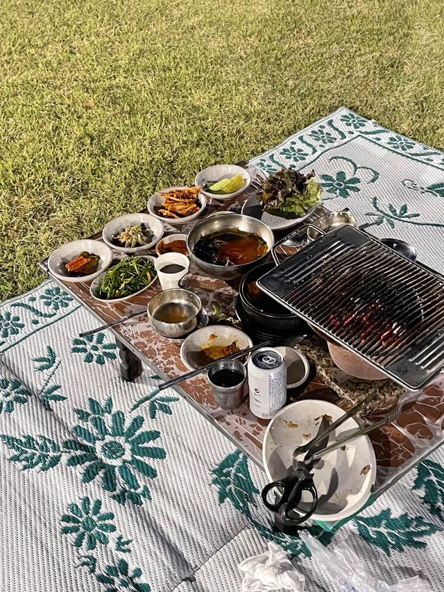 < 남양주 맛집 > 잔디밭 돗자리 위에서 먹는 멧돼지 고기, 금남 멧돼지 🏕️