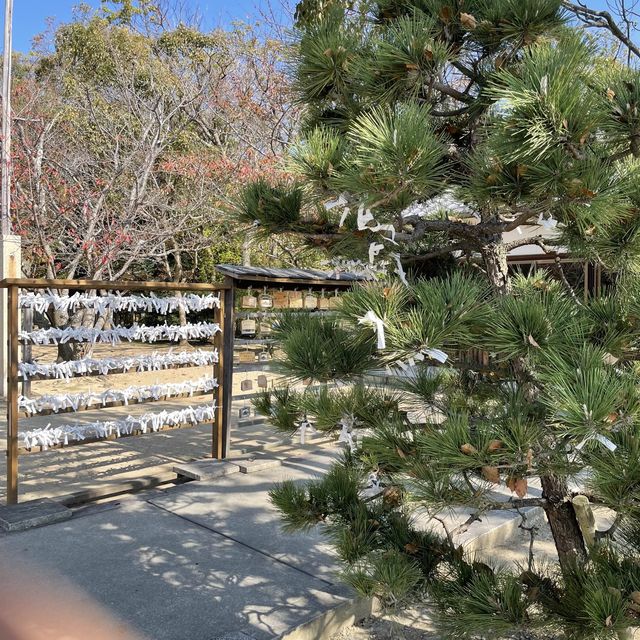 【兵庫県】赤穂岬の守り神「伊和都比売神社」へ