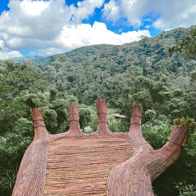 มุมถ่ายรูปมือไม้ยักษ์ แห่งเมือง DALAT 🇻🇳