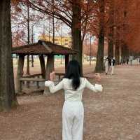 가을 단풍구경 막차입니당 ♥️🍁🍂