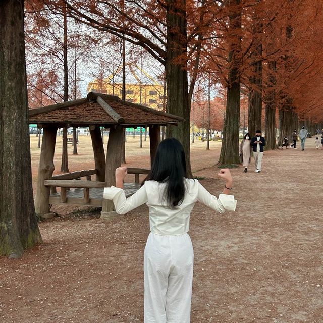 가을 단풍구경 막차입니당 ♥️🍁🍂