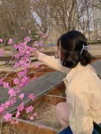 [서울숲편] 벚꽃 인생샷 🌸