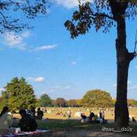 【のんびりデートに最適🍃昭和記念公園】