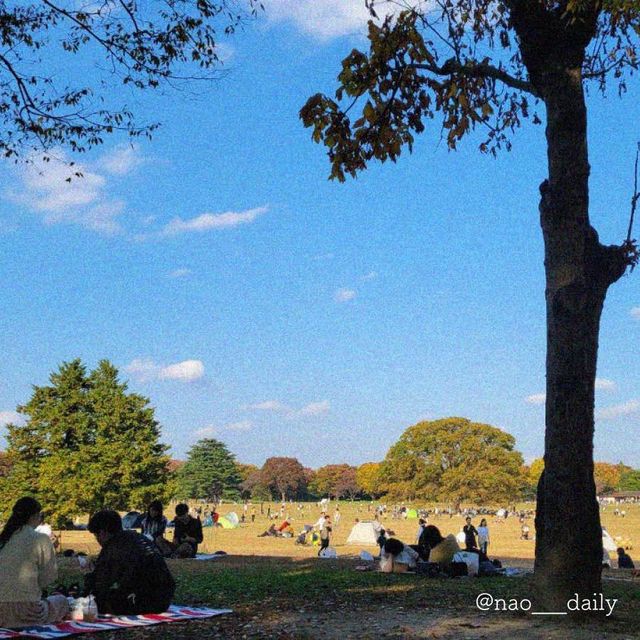 【のんびりデートに最適🍃昭和記念公園】