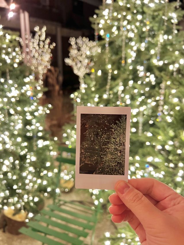 크리스마스 대형 트리뷰맛집🎄‘어가길베이커리‘