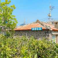 제주갬성하면 귤, 포토존 귤밭상점