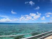 【宮古島】日本一長い橋！！