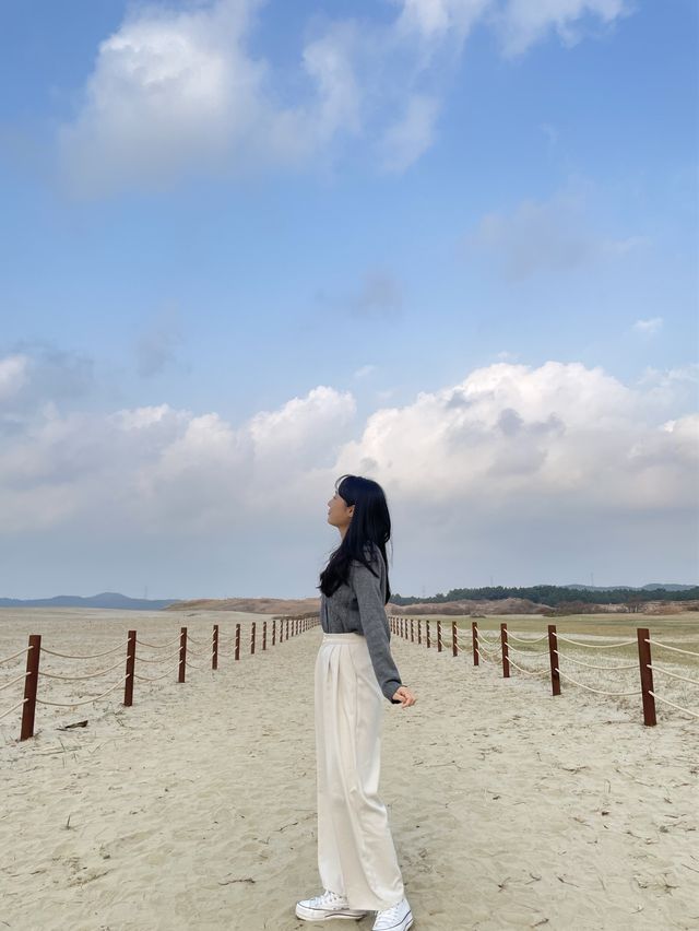 태안 인생샷 명소 :: 태안 신두리 해안사구🌵
