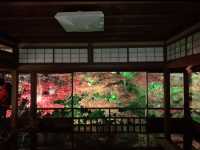 京都[紅葉めぐり]   幻の紅葉　瑠璃光院
