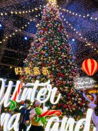 Winter wonderland 