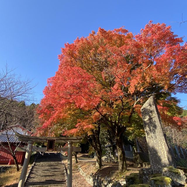 【福井】熊川宿