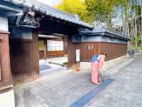 名古屋【八事山 興正寺】