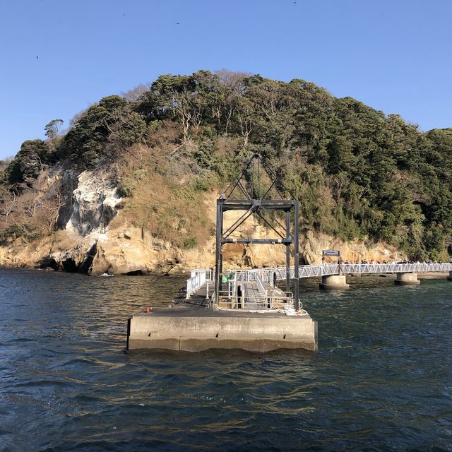 【神奈川】無人島・猿島探検！