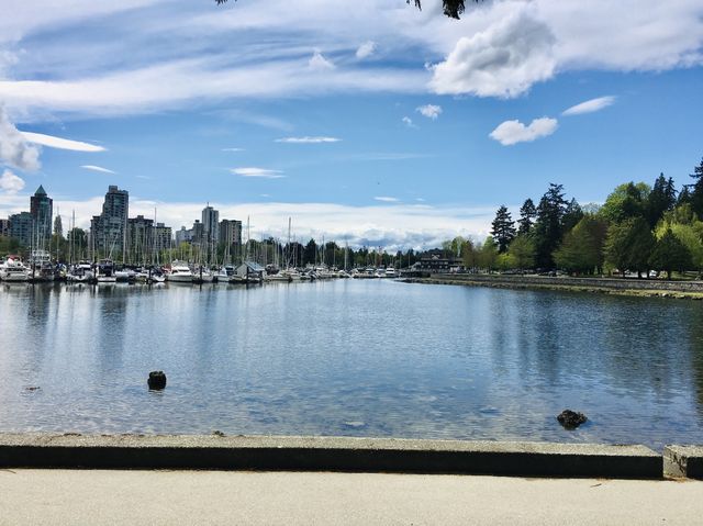 溫哥華 Stanley Park無敵海景