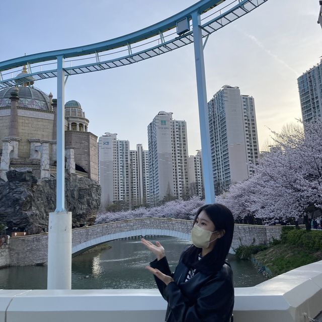 벚꽃 명소 [롯데월드]