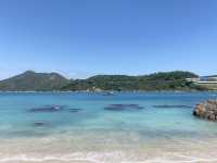 【玩樂】✨東龍島｜遠離塵囂一日遊✨