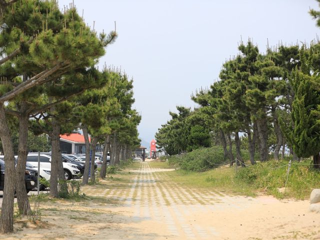 동해 망상해수욕장 