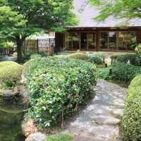 japanese tea-lover 