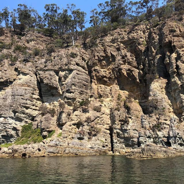 新鮮海鮮🦞之旅親手活捉海鮮塔斯曼尼亞初體驗