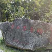 台北內湖區 ｜ 碧山露營場