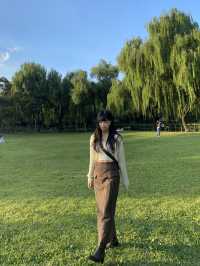 가을 피크닉 가기 좋은 한적한 공원🌳