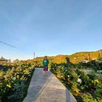 On top of the 'world' at Apo Flower Garden