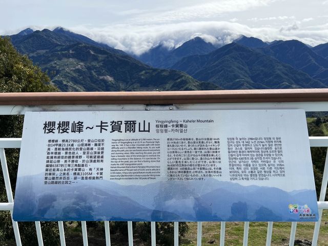 南投清境天空步道｜美麗山景+羊咩咩好可愛🐑