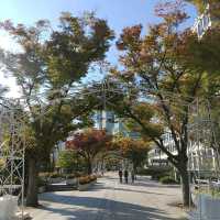 まるで神殿！大阪の中之島図書館