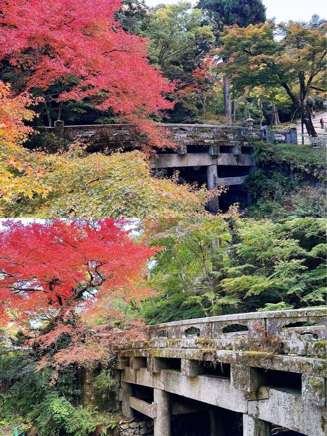 日吉大社大社
