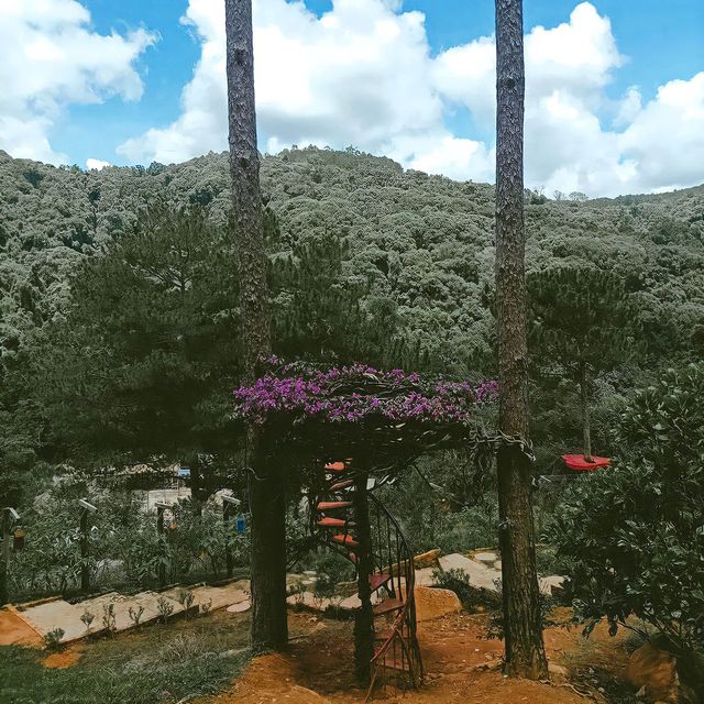 มุมถ่ายรูปมือไม้ยักษ์ แห่งเมือง DALAT 🇻🇳