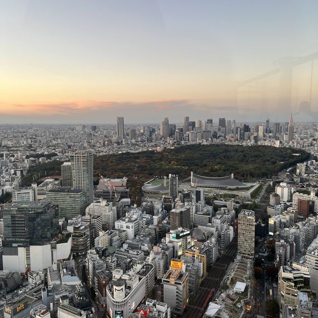 【東京】渋谷から東京を見下ろす✨SHIBUYA SKY