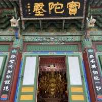 바다가 보이는 절, 낙산사🪷🌊