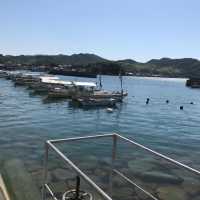 廣島景點 - 大久野島兔島